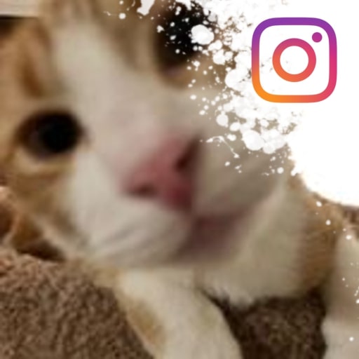 Instagram- adameckioke_bike4fun